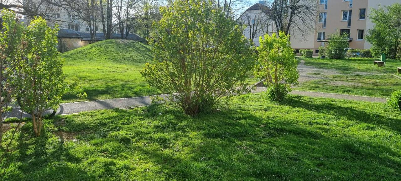 Appartement Thomas 028 *